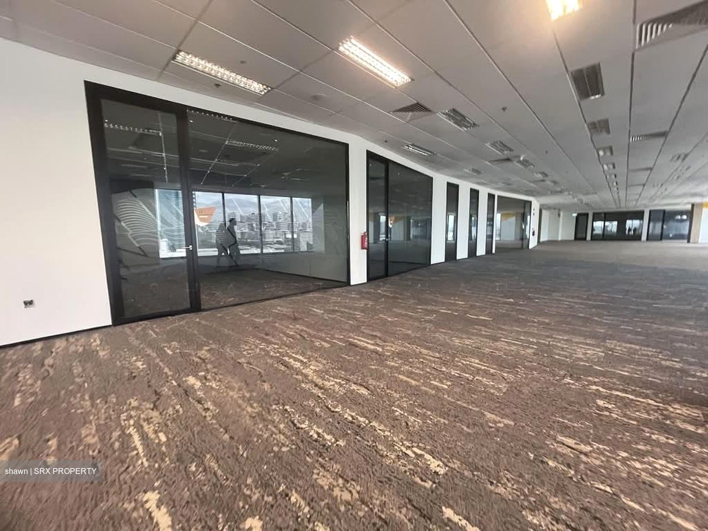 Mapletree Business City (D5), Office #544157421
